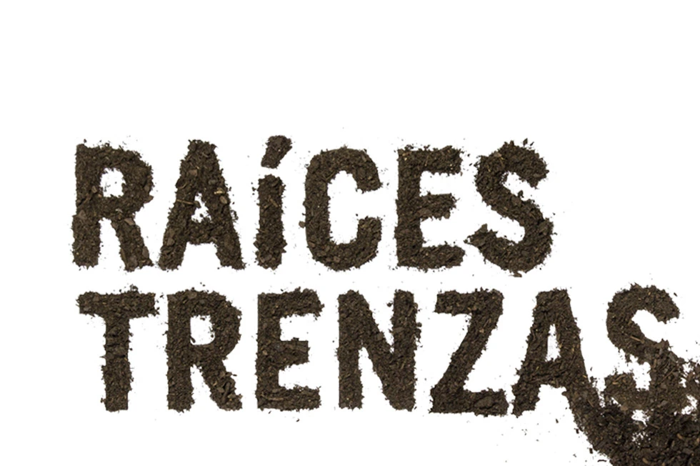 La Cantera - Raíces Trenzas